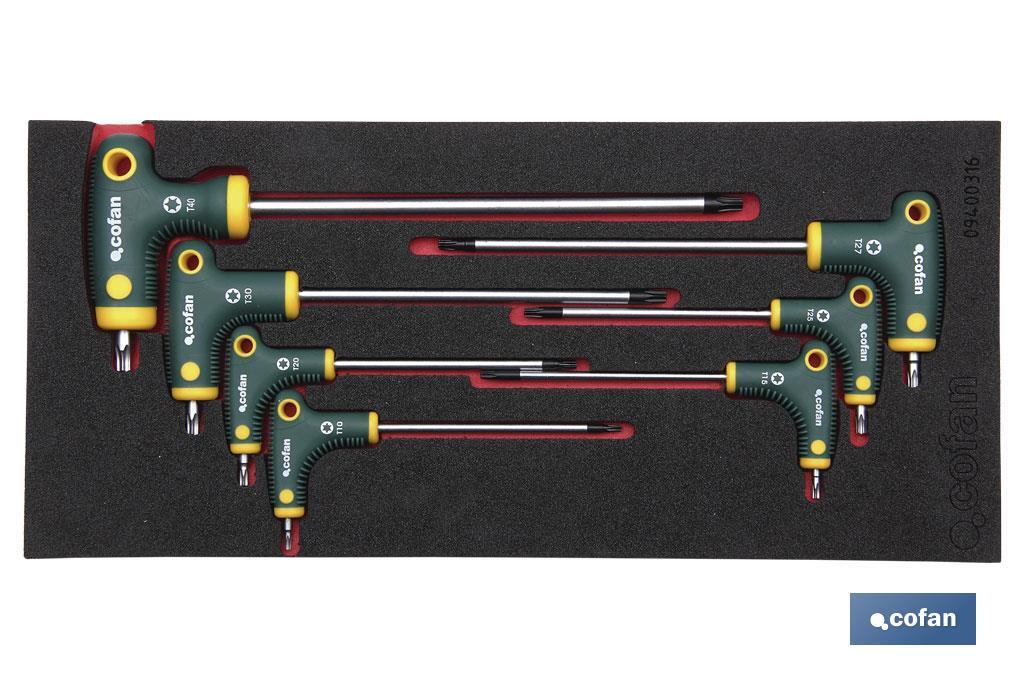 Módulo de espuma con herramientas | Para 1/3 cajón del carro de herramientas cofan | DEST- T PUNTA TORX